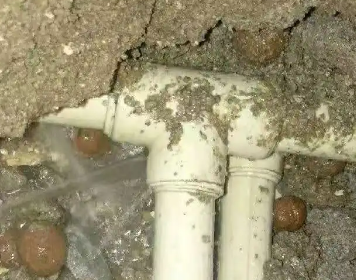 武平测漏水多少钱