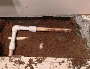 武平测漏水哪家好