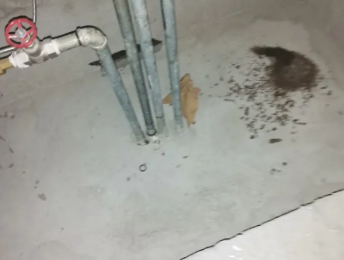 武平卫生间测漏水价格明细