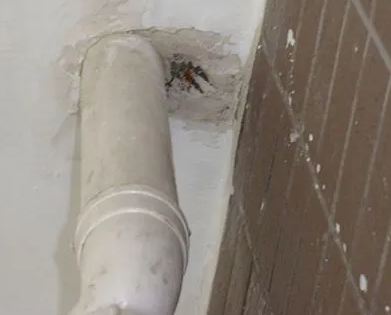 武平漏水检测哪家好